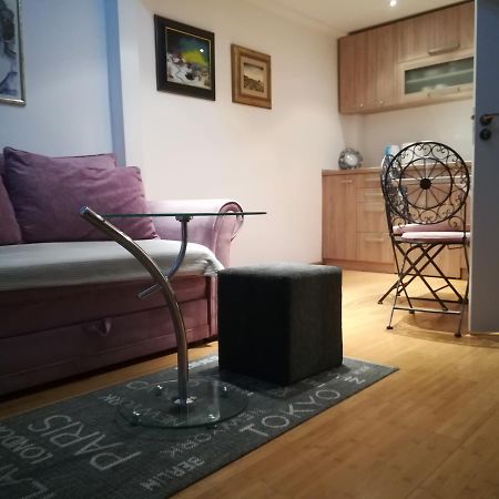 Apartman Galerija Daire Novi Sad Dış mekan fotoğraf