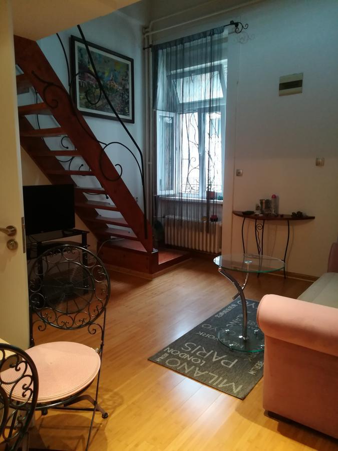 Apartman Galerija Daire Novi Sad Dış mekan fotoğraf