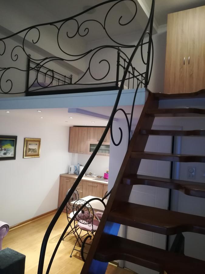 Apartman Galerija Daire Novi Sad Dış mekan fotoğraf