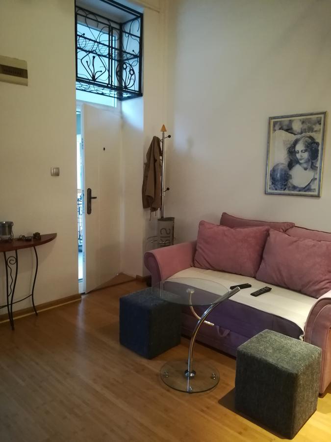 Apartman Galerija Daire Novi Sad Dış mekan fotoğraf