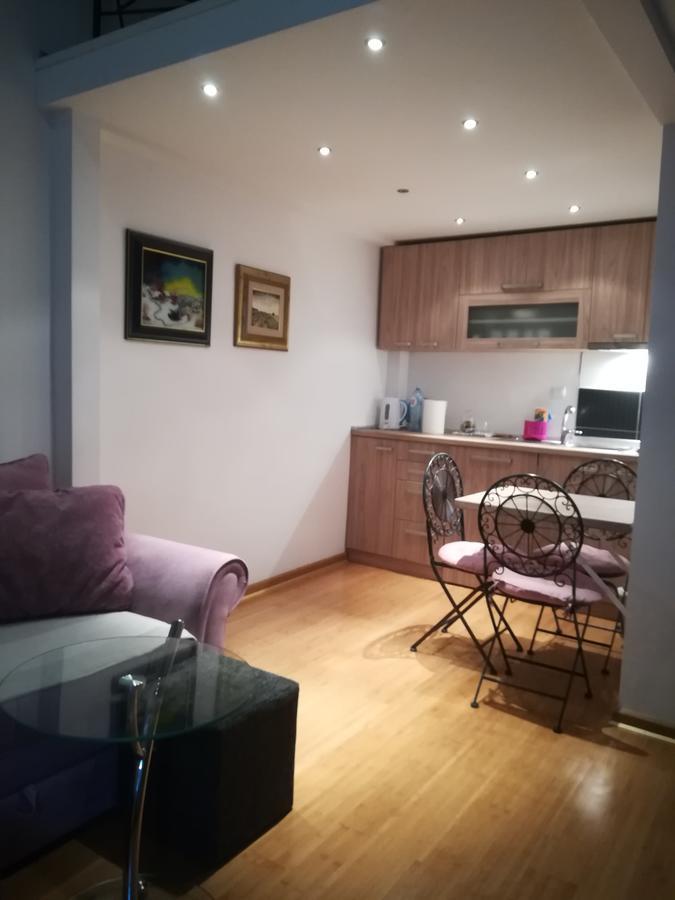 Apartman Galerija Daire Novi Sad Dış mekan fotoğraf