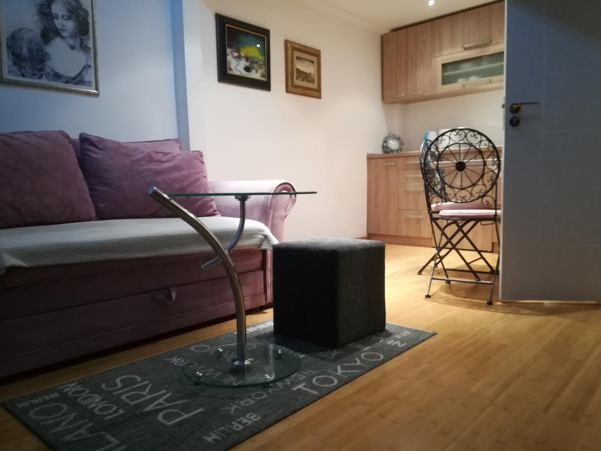 Apartman Galerija Daire Novi Sad Dış mekan fotoğraf